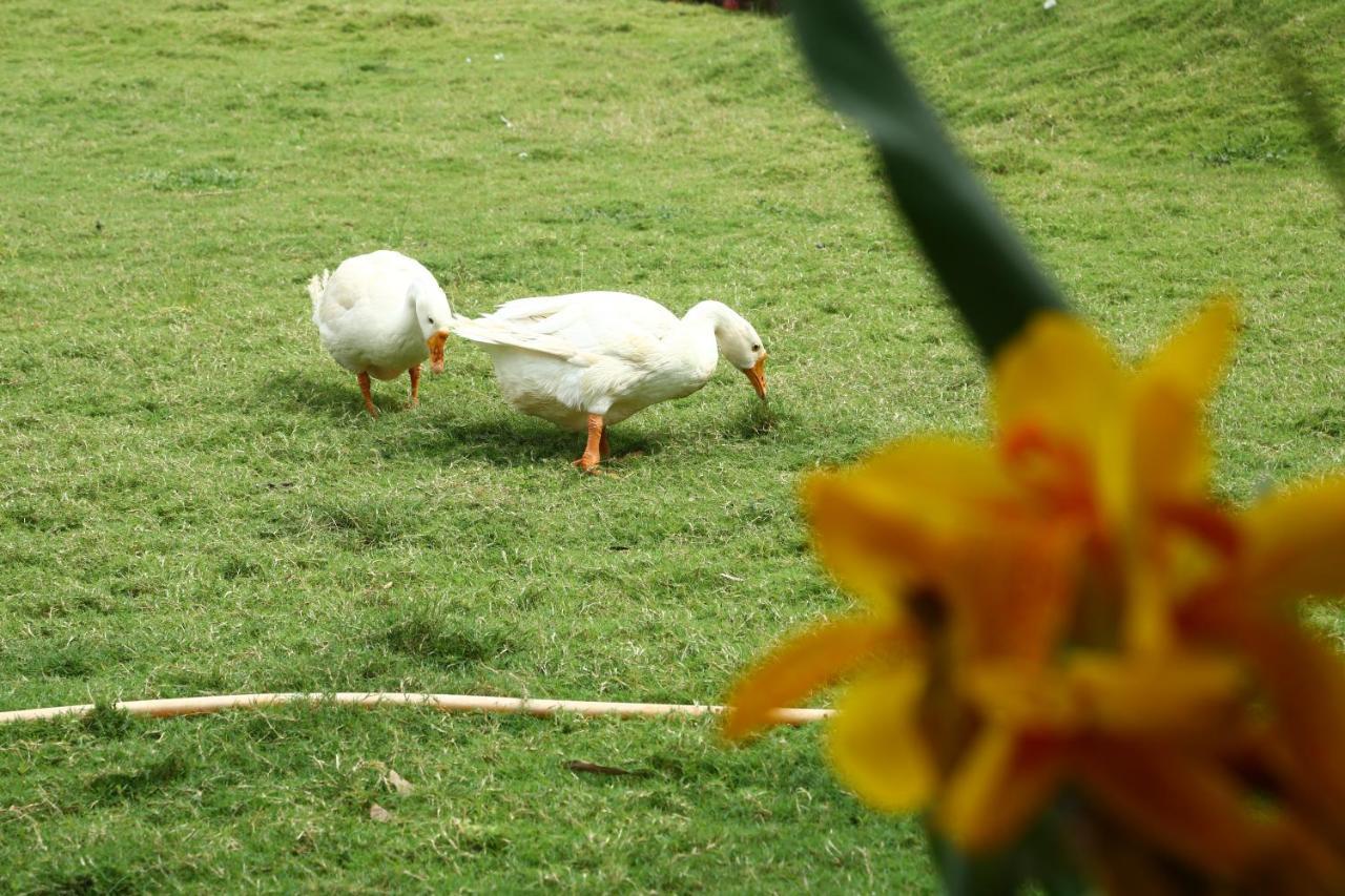 Nature Leap Resort Igatpuri Eksteriør bilde